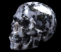 Preview: Gabbro Skull